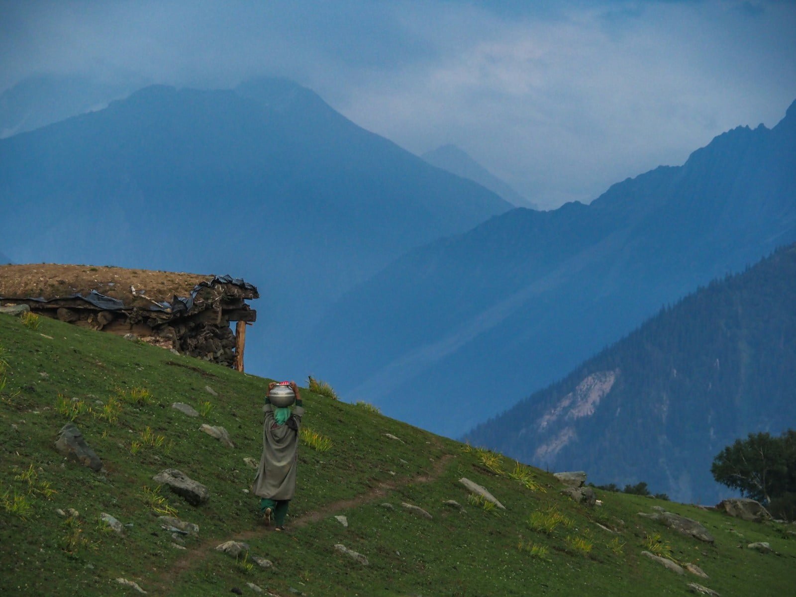 person standing on green mountain
